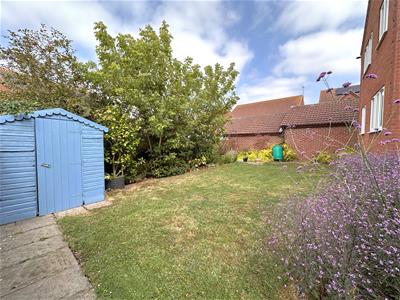 Picture 26